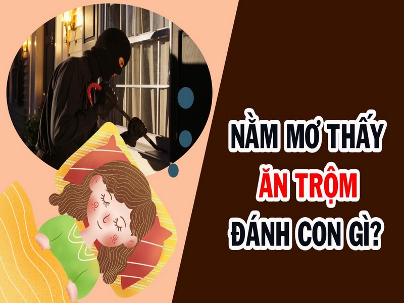 mo-thay-nha-co-trom