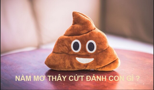 Nên đánh con gì khi nằm mơ thấy cứt