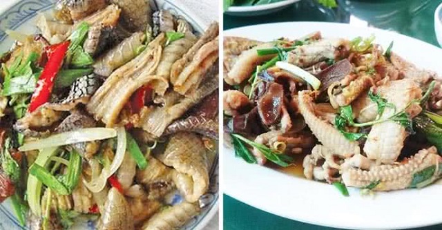 Mơ ăn thịt rắn có ý nghĩa gì? Mơ ăn thịt rắn có ý nghĩa gì?