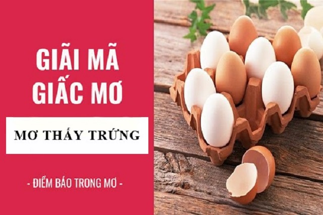 Giải mã điềm báo về các giấc mơ nhìn thấy quả trứng trong tương lai Giải mã điềm báo về các giấc mơ nhìn thấy quả trứng trong tương lai