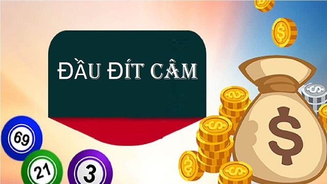 Đánh lô đề câm đít câm là như thế nào Đánh lô đề câm đít câm là như thế nào