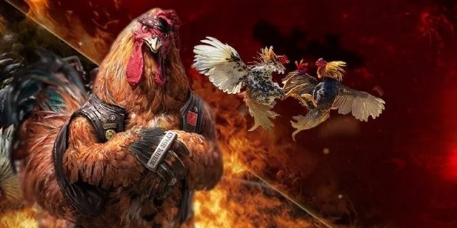 Chuyên mục đá gà GI8 sở hữu nhiều ưu điểm đặc sắc