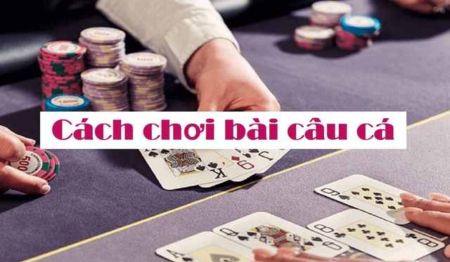 Cách câu và ăn bài Cách câu và ăn bài