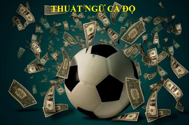 Nắm chắc cho mình 50 thuật ngữ cá độ bóng đá Nắm chắc cho mình 50 thuật ngữ cá độ bóng đá