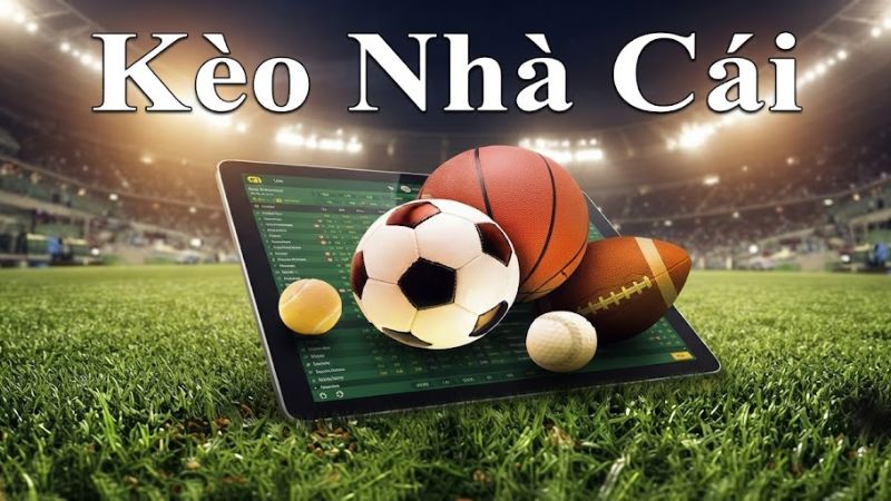 Kèo nhà cái là gì? Kèo nhà cái là gì?