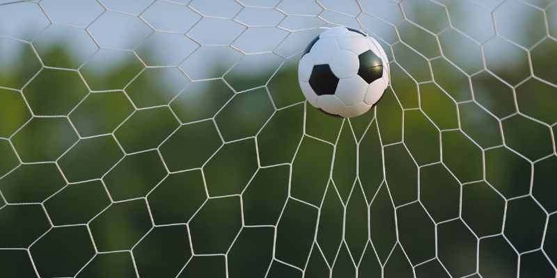 Bí quyết chơi cược luôn thắng ít người biết